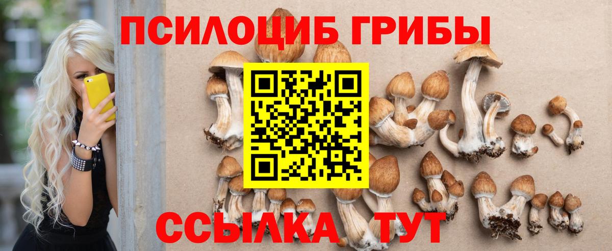Галлюциногенные грибы MAGIC MUSHROOMS Корсаков